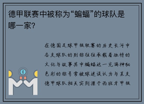 德甲联赛中被称为“蝙蝠”的球队是哪一家？