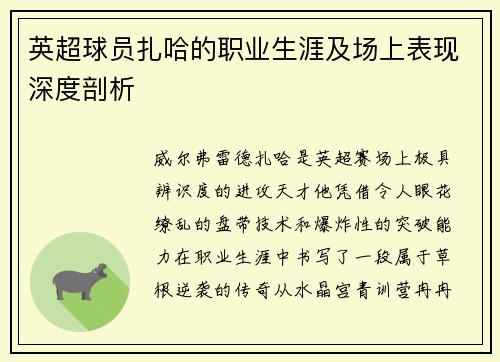 英超球员扎哈的职业生涯及场上表现深度剖析
